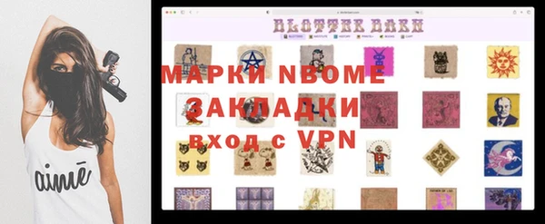 индика Балахна