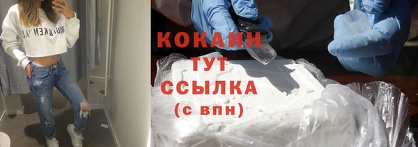 индика Балахна