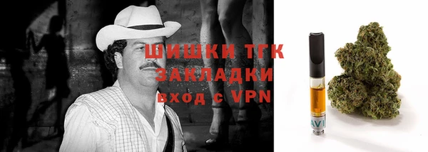 индика Балахна