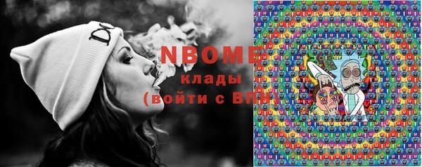 индика Балахна