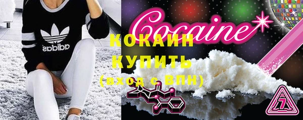 индика Балахна