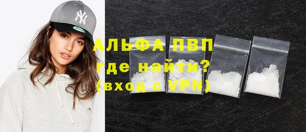 индика Балахна