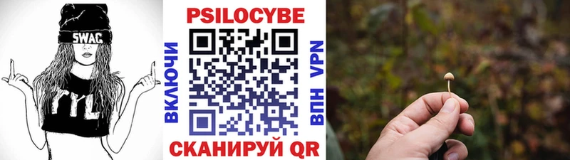 Псилоцибиновые грибы Psilocybine cubensis  Тырныауз 